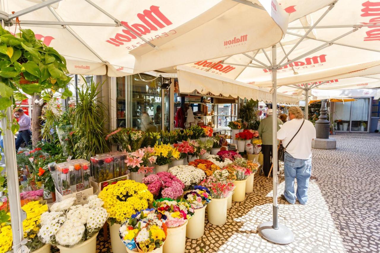 Apartamentos Loto Y Liz By Cadiz4Rentals エクステリア 写真